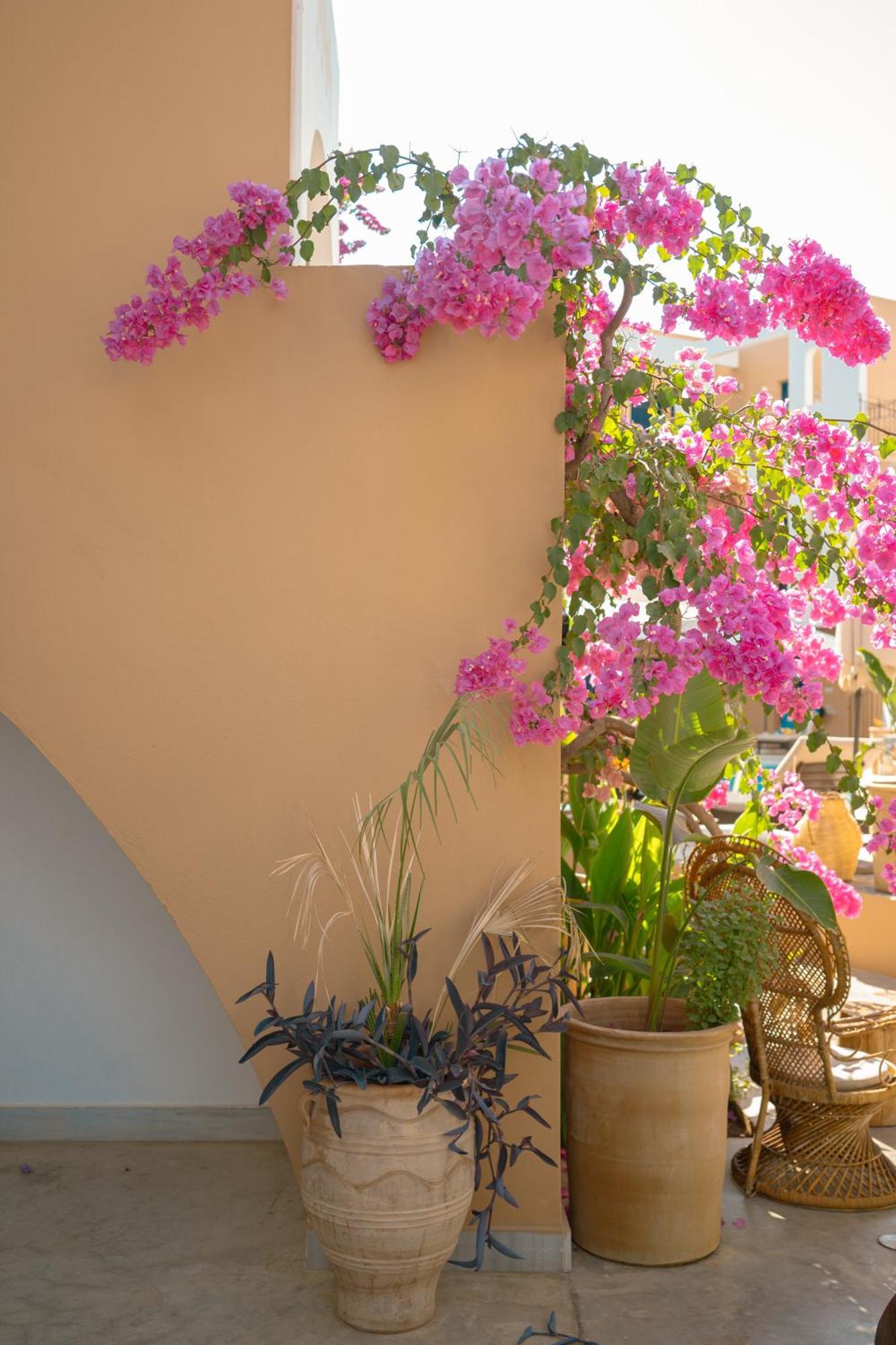 Nami Hotel & Suites Σταλίδα Εξωτερικό φωτογραφία